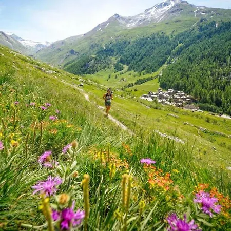 Batiment F - A Mont Blanc Panorama Διαμέρισμα